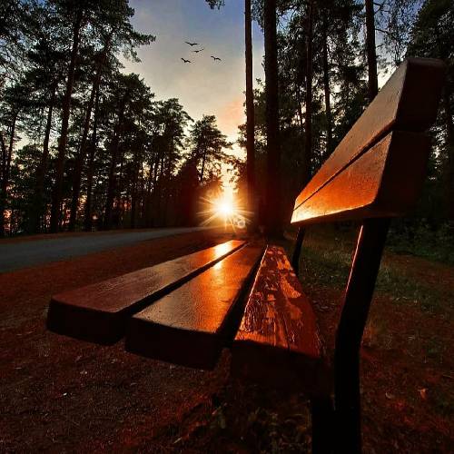  صدامو میارم پایین چشم ما دیگه لنگ شماییم چشم